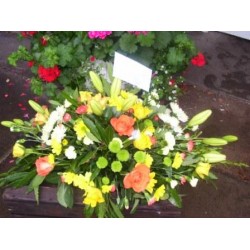 Sympathy 10 - Prices start from £55.00